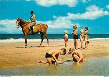 Animals - Horses - Belgium - Equestrian ride and games on La Pan Beach