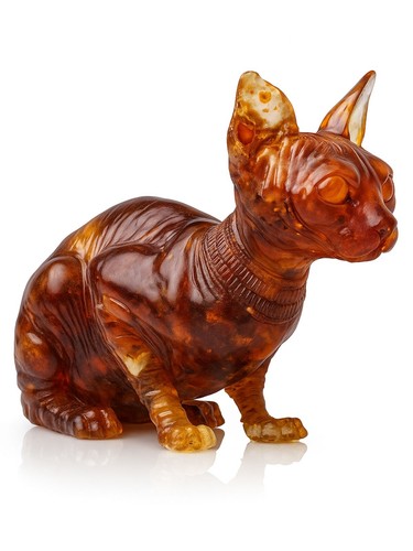 Baltic amber sphynx cat - baltic,