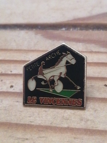Pin pins - pin's, cheval