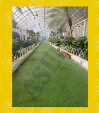 Passerelle de serre sereine -