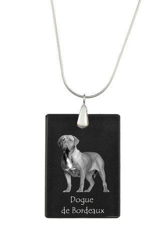 Bordeauxdogge dogue - bordeauxdogge,dogue, de