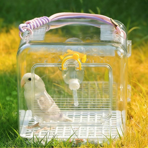 Cage transport transparente - cage,