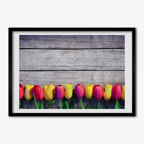 Tulup photo 70x50cm - tulup,
