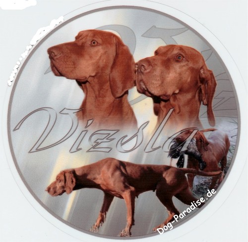Autocollants design vizsla - design,