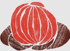 Carel VISSER, COMPOSITION, 1989, signed woodcut