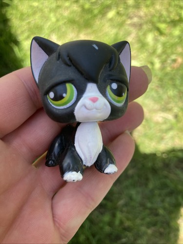 Lps littlest petshop - #55,