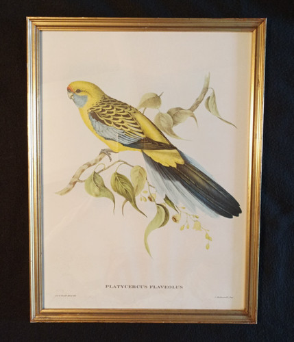 Tableau gravure ancienne