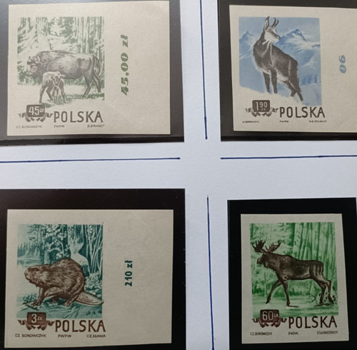 Pologne scott - pologne,