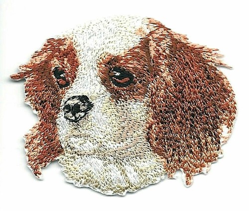 2 cavalier king - x,