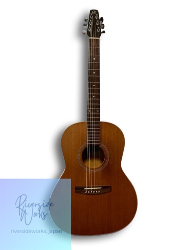 Guitare acoustique folklorique