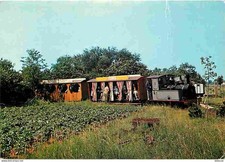 Trains - Musée des Transports de Pithiviers - The steam train coming out of the woods