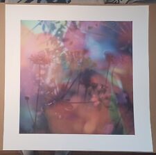 Vegetaux 21, 2012 by Nicolas Le Beuan Bénic - Silkscreen Serigraph Giclee Print