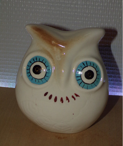 Tirelire chouette hibou - hibou, en