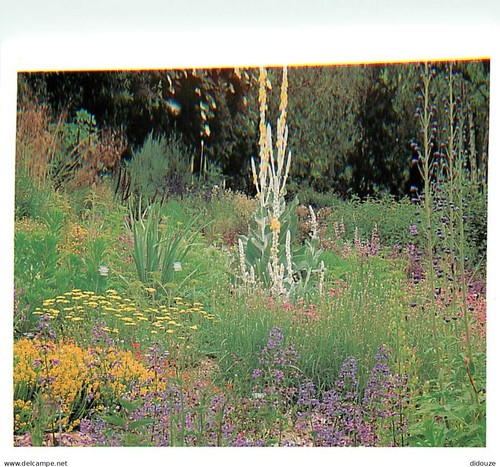 Carte postale etaimpuis - carte,