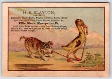 MONTPELIER VERMONT*SLAYTON*STATIONERY*ALBUMS*CHROMOS*SCRAP BOOK PICS*DOG & DUCK