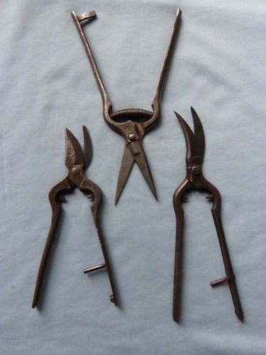 Trois anciens sécateurs fer