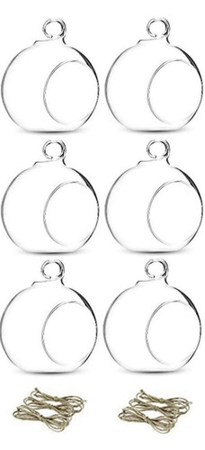 6pcs glass hanging terrarium - glass,
