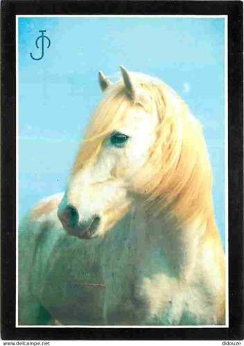 Postcard animals horses - -,