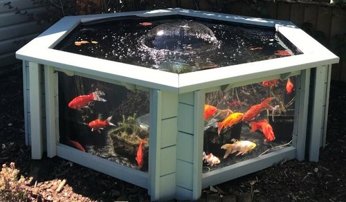 Clear view garden - view, aquarium