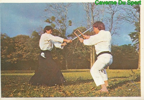 181 nunchaku sticker - sticker, vignette
