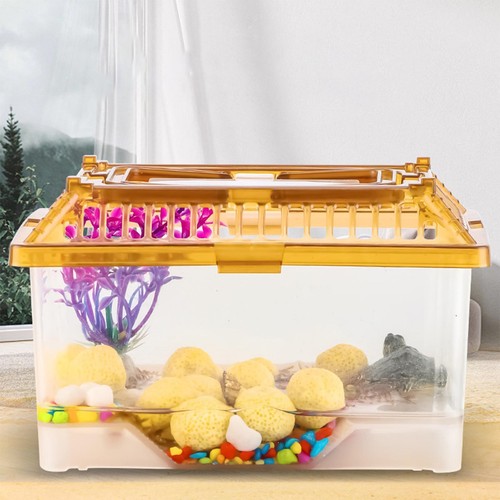 Petit réservoir tortue - réservoir, de