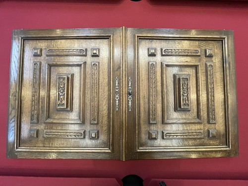 Paire portes meuble bois - portes,