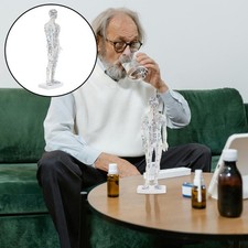  Modèle d'acupuncture humaine