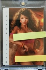 2000 Playboy Centerfolds of