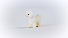 5 Pack - Bichon Frise Dog