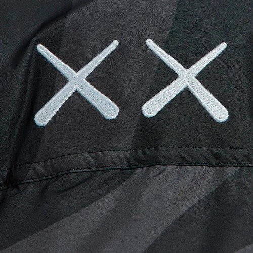 Kaws the north face - x,