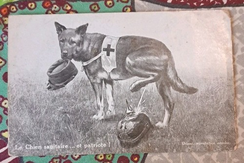 Cpa guerre le chien - cpa, 14-18