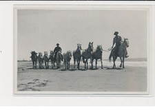 Environs Saintes Maries de la