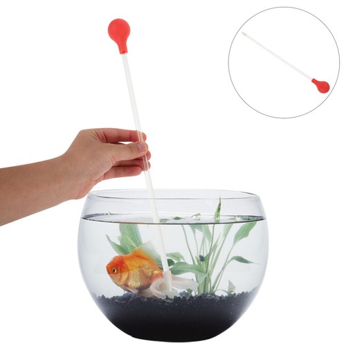 Nutrition des aquariums pour - nutrition,