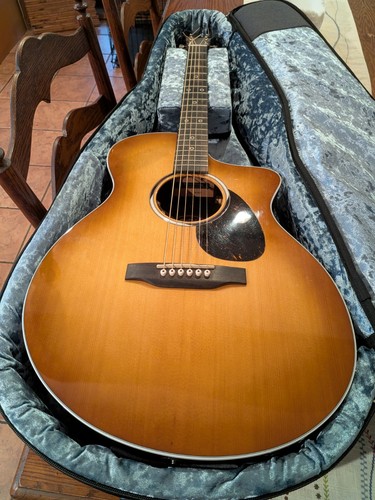 Martin 13e guitar - martin,