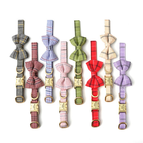 Collier chien personnalisé - collier,