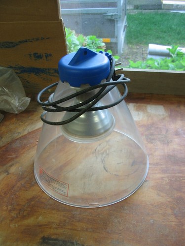 Lampe chauffante élevage - lampe, d'élevage