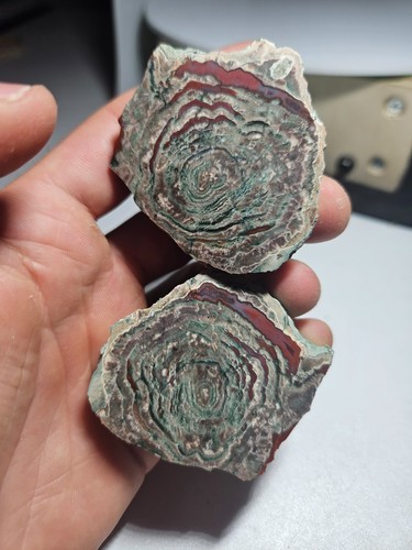 Lithophyse polished very - lithophyse,