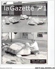 AKMP3-0260-SALON - GAZETTE 71 - EARTHEN TURTLE