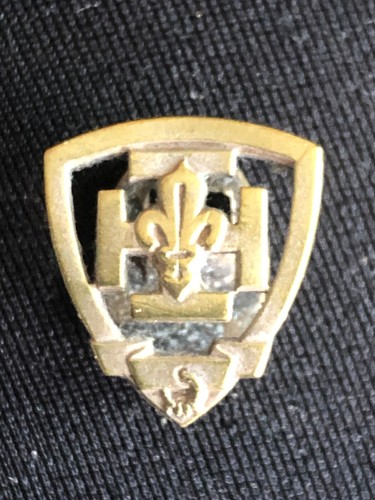 Scoutisme ancien insigne - ancien,