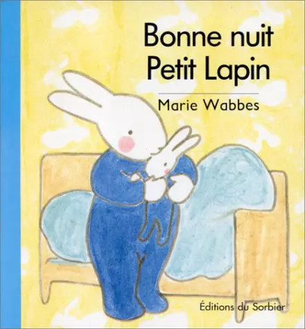 Bonne nuit petit lapin - petit, lapin,