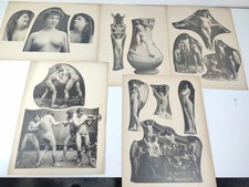 Le Nu Esthétique Lot 5