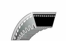 Courroie Dentée Motoculteur