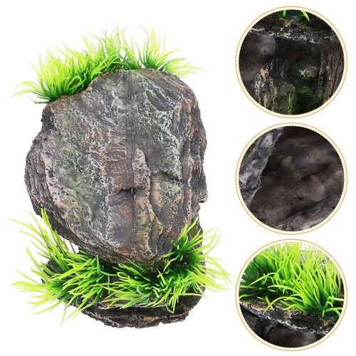 Décoration terrarium - de,