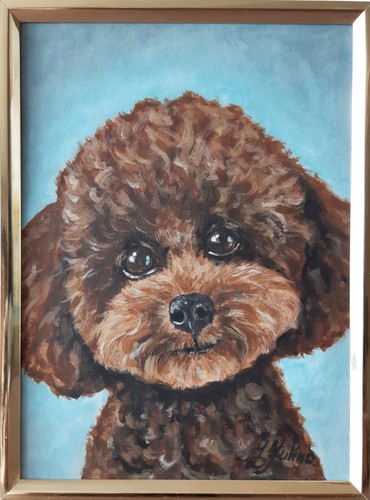 Caniche jouet peinture - , à