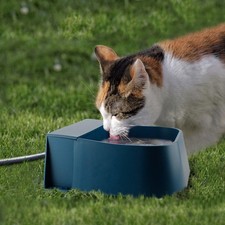 Gamelle eau automatique Chien