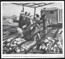 1948 -- RUSSIA . STALINGRAD . STURGEON FISHING AND PREPARATION. 4B642
