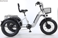 Tricycle électrique de livraison à gros pneus de 20 pouces, 500 W, 48 V, E-trike