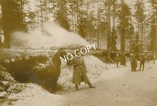 Photo WK I Abris Pour Chevaux