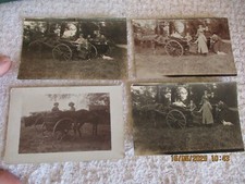 Photo Attelage à Cheval