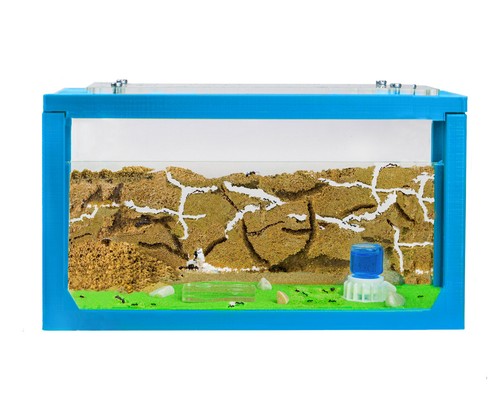 Fourmilière sable avec - en, 3d